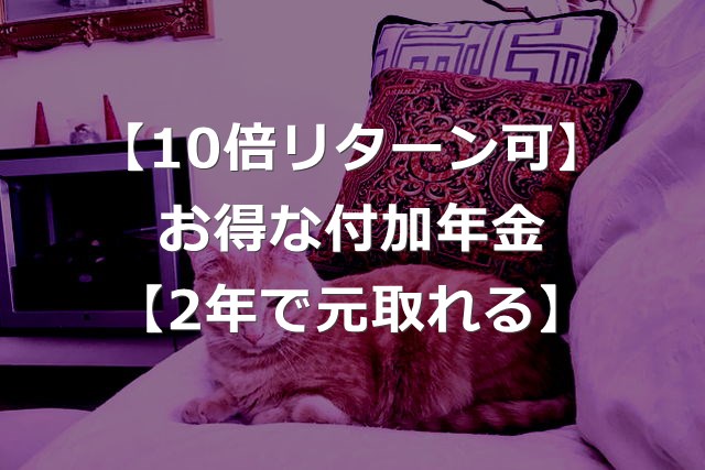 付加年金 10倍リターン可能な年金とは 2年で元が取れる キベリンブログ