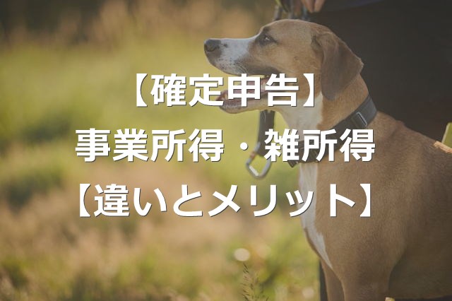 【副業】事業所得と雑所得の違いとは【確定申告+メリット比較】