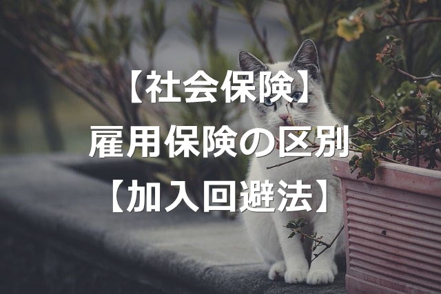 【加入回避法】社会保険（健保・年金）と雇用保険は、加入条件が違う