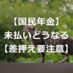 【国民年金】払わないと差し押さえに【3段階対応と免除制度】