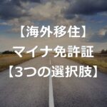 マイナ免許証の選択肢3つと、海外での影響【メリット・デメリット】