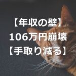 【年収の壁】106万円の壁、撤廃へ【手取り減る】