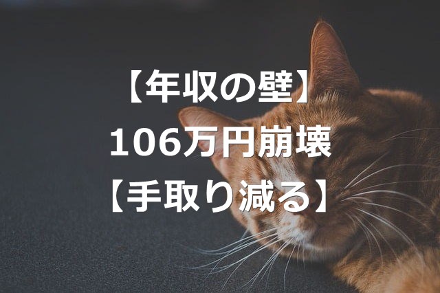 【年収の壁】106万円の壁、撤廃へ【手取り減る】