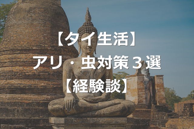 【タイ生活】アリ・蚊に効いた虫対策アイテム3選【経験談】