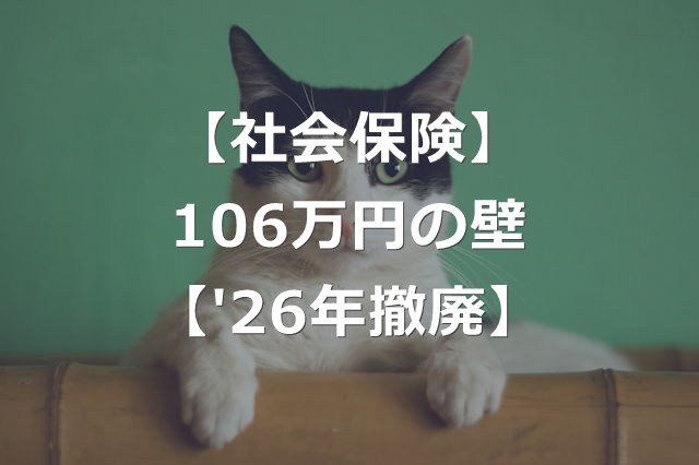 【社会保険】2026年に 106万円の壁 撤廃へ【新たな壁】