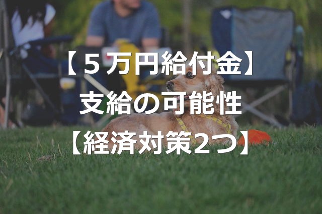 5万円給付金は撤回？2025年の支給可能性【2つの物価高対策】