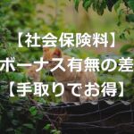 【社会保険料】ボーナスなしの方が手取りでお得？【賞与の給与化】