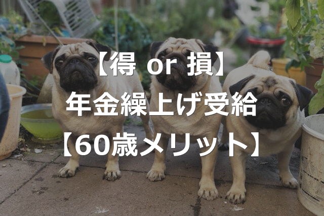 年金繰り上げ受給で、得する人・損する人【メリットと選び方】