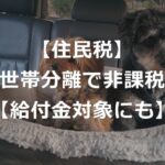 【住民税】世帯分離で非課税になる裏ワザ【メリット・デメリット】