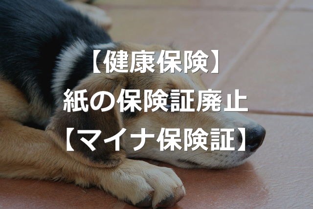 【健康保険証廃止】会社員・フリーランスで違う？マイナ保険証へ移行