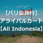 【バリ島】インドネシア入国手続き「All Indonesia」登録方法