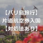 【バリ島旅行】片道航空券は入国できない？【入国条件と対処法】
