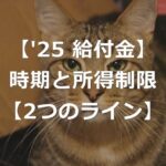 【2025年度給付金】一律2万円支給、所得制限へ【2つのライン】
