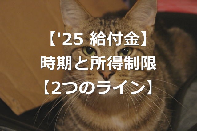 【2025年度給付金】一律2万円支給、所得制限へ【2つのライン】