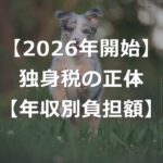 【2026年4月】独身税が徴収開始！独身以外も払う年収別負担額