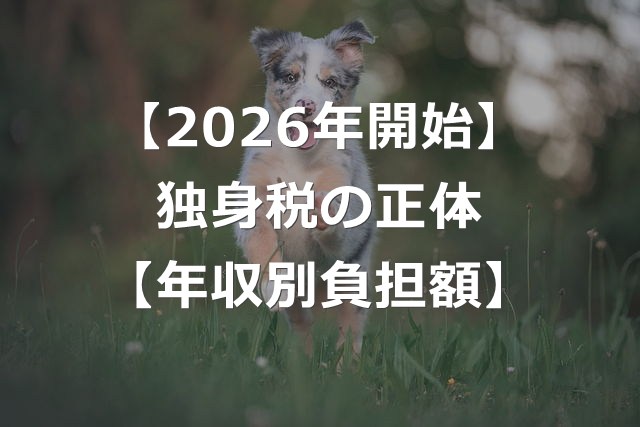【2026年4月】独身税が徴収開始！独身以外も払う年収別負担額