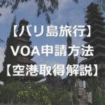 【バリ島】観光ビザVOAの2つの取得方法と、空港での取得手順解説