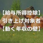 【住民税・所得税】給与所得控除の引き上げ対象者と動いた年収の壁