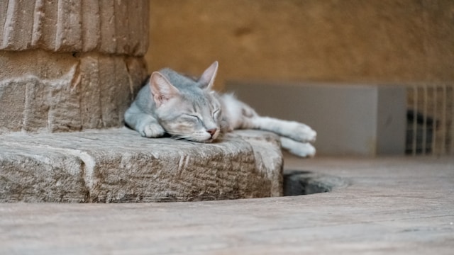 ① 75歳以上で医療費が2割負担に値上げされた人とは【収入チェック】