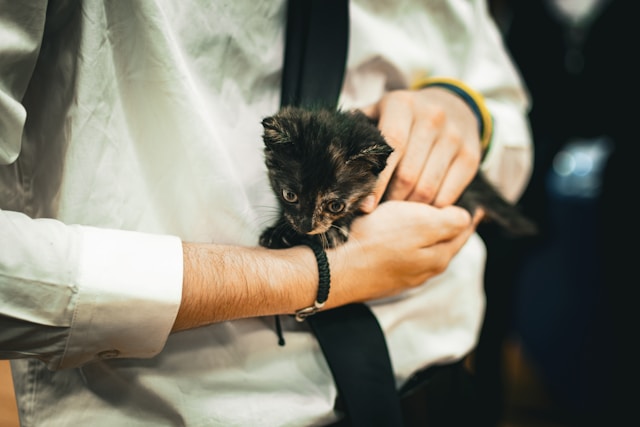 ③ まとめ：2割負担に引き上げられたのは、一定の所得がある75歳以上が対象