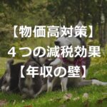 【減税額】4つの物価高対策で、家計負担はいくら軽減？【年収の壁】