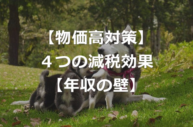 【減税額】4つの物価高対策で、家計負担はいくら軽減？【年収の壁】
