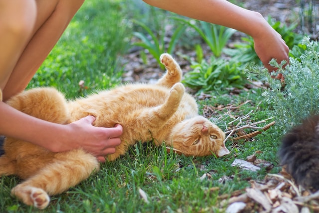 ① 国民健康保険料は、なぜ自治体によって違うのか【都道府県ランキング】