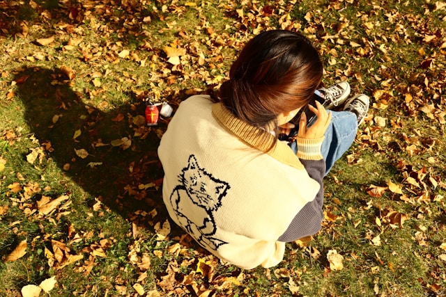 ② 税金とは違う、社会保険の扶養から外れる年収の壁【106万円・130万円】