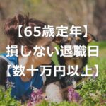 65歳定年退職は損に！得する退職時期の選び方【失業保険+年金】