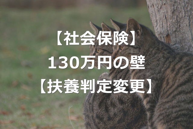 【2026年】年収130万円の壁、判定方法が改正【扶養外れる】