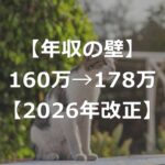 【2026年】年収の壁、160万円→168万or178万へ引き上げ