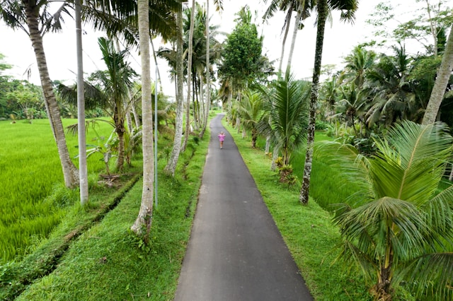 ① バリ島旅行で、銀行口座の取引明細提出を義務化か【預金残高チェック】