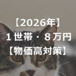 【2026年】1世帯8万円の物価高対策とは【給付金・減税】