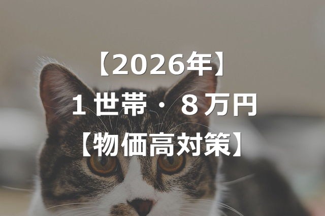 【2026年】1世帯8万円の物価高対策とは【給付金・減税】