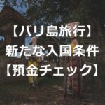 【バリ島旅行】銀行預金残高が入国条件に？【取引明細の提出】