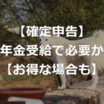 【年金受給者】確定申告が必要orお得になる場合【しないと損も】