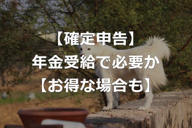 【年金受給者】確定申告が必要orお得になる場合【しないと損も】