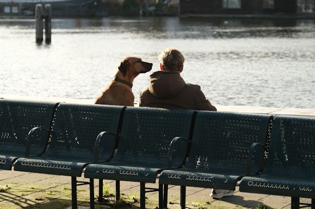 ③ まとめ：国民健康保険は軽減制度あり。2026年度改正の判定基準を要チェック