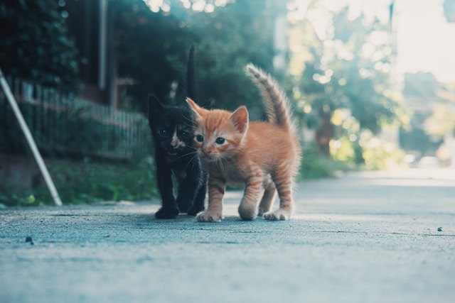 ① 2026年、税金・社会保険で変わっていること【7つの改正】