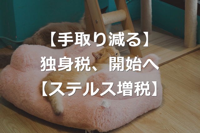 【ついに開始】いくら手取り減る？独身税の中身とは【年収別負担額】