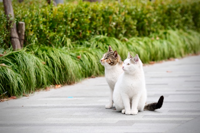② 介護保険料が減免・軽減される、4つの対象条件【65歳以上】