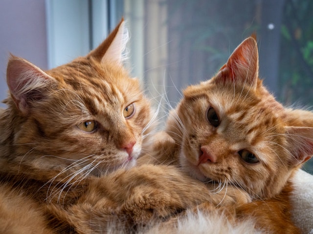 ② 自転車の歩道走行ですぐ罰金？知るべき一発アウト行為【6つの違反】