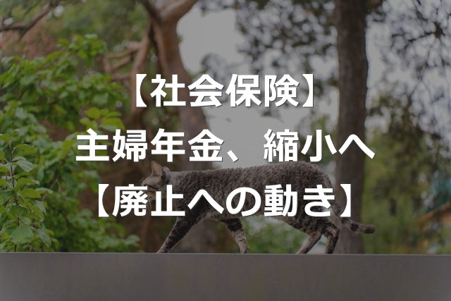 【主婦年金】第3号被保険者制度、縮小・廃止へ加速【年20万円】