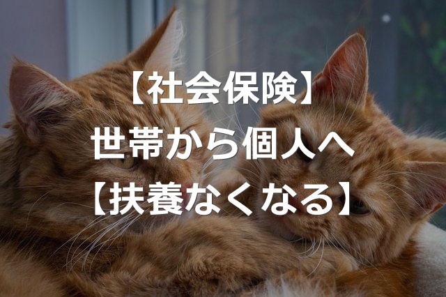 【社会保険】扶養なくなる？世帯→個人へ【年収130万円の壁】