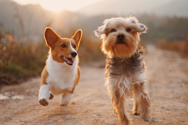 ② 確定申告しない場合でも、株の利益で社会保険料が増える時代に【改正法成立】