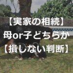 【実家の相続】母or子のどちらが損しない？【問題点+判断方法】