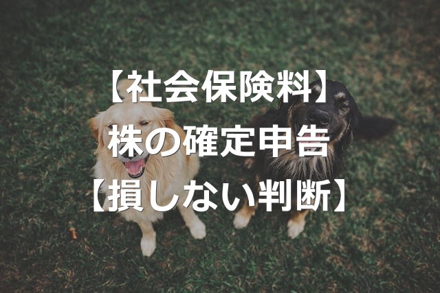 株の確定申告で、社会保険料が上がる理由【損しない判断方法】