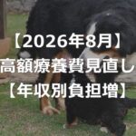 【2026年8月】高額療養費の改正でいくら負担増？【年収別一覧】