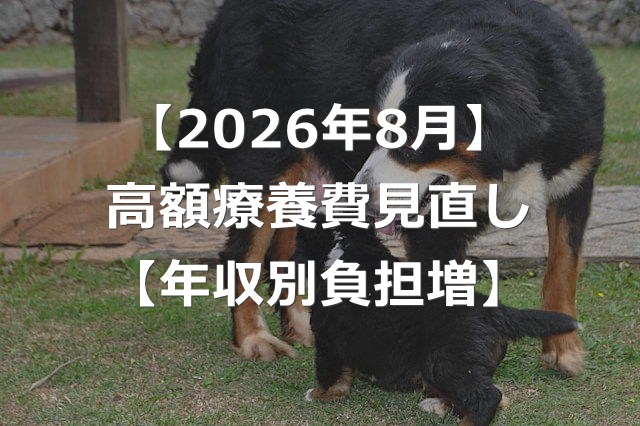 【2026年8月】高額療養費の改正でいくら負担増？【年収別一覧】