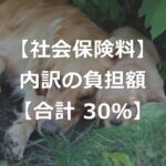 社会保険料の内訳と、負担額計算のしくみ【合計30%】